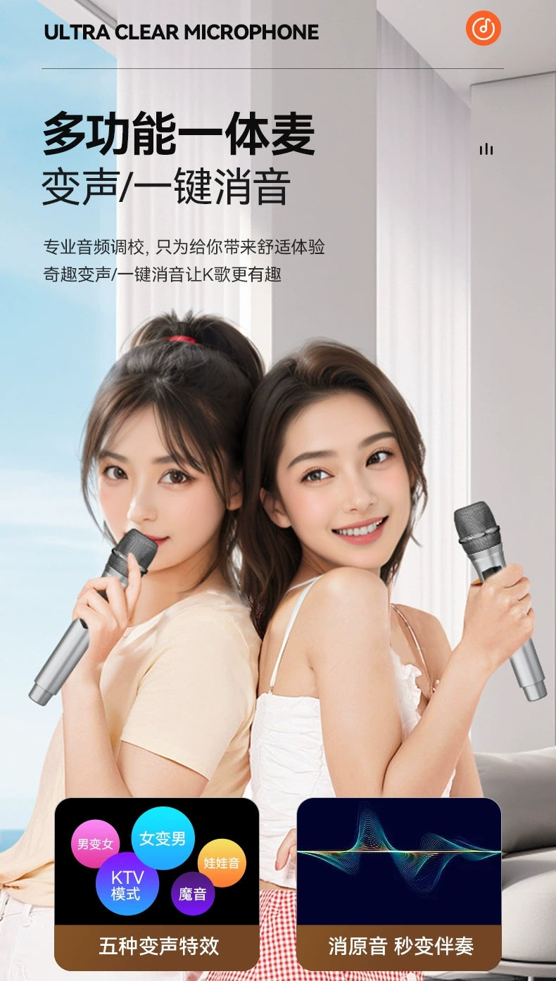 DTS-Audio Karaoke portable Bluetooth Speaker