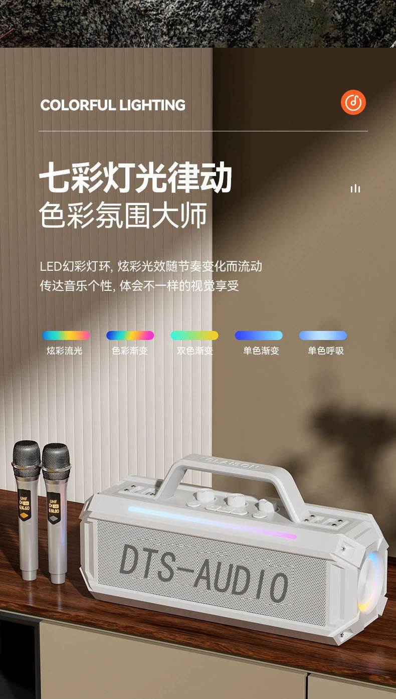 DTS-Audio Karaoke portable Bluetooth Speaker