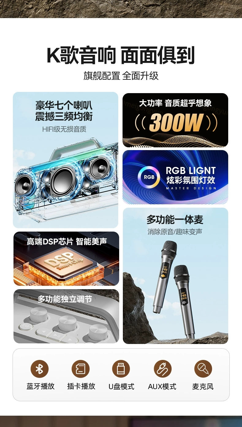 DTS-Audio Karaoke portable Bluetooth Speaker