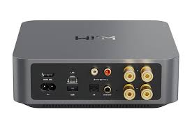 WiiM-AMP-SG