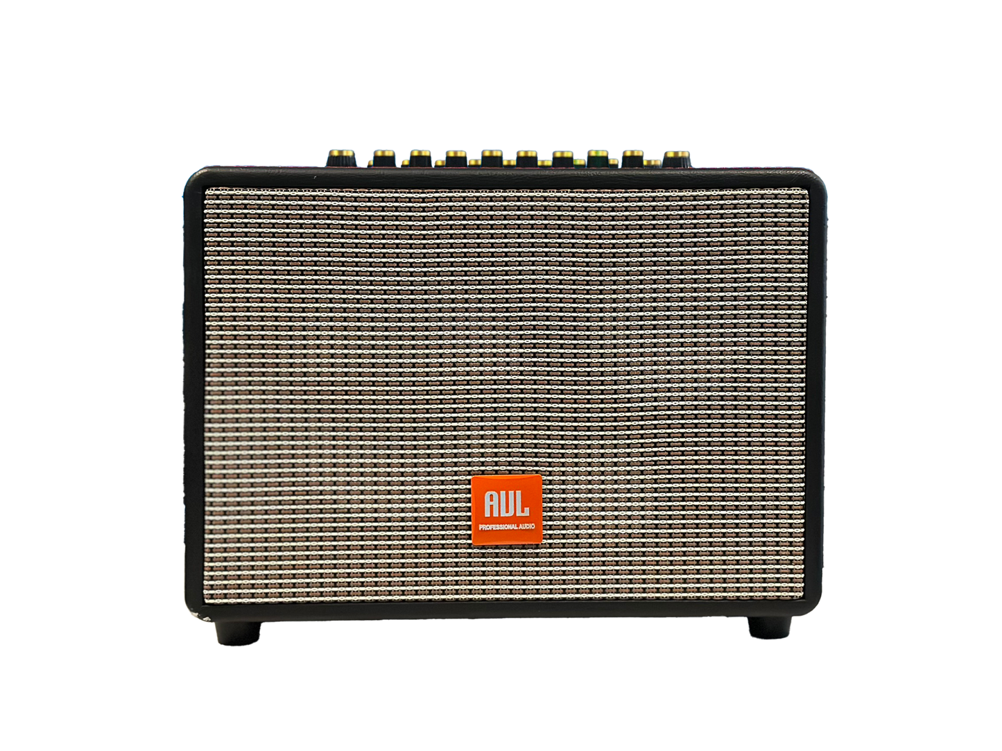 AUL BT Bluetooth Karaoke Speaker