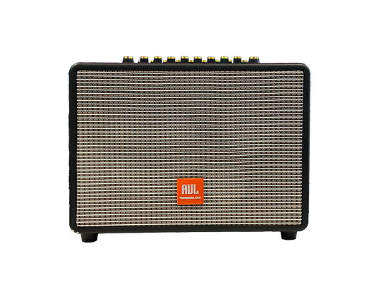 AUL BT Bluetooth Karaoke Speaker