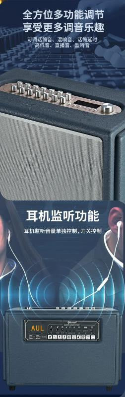 AUL BT Bluetooth Karaoke Speaker