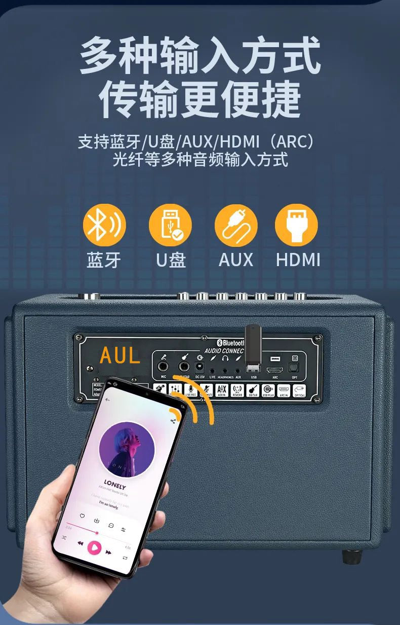 AUL BT Bluetooth Karaoke Speaker