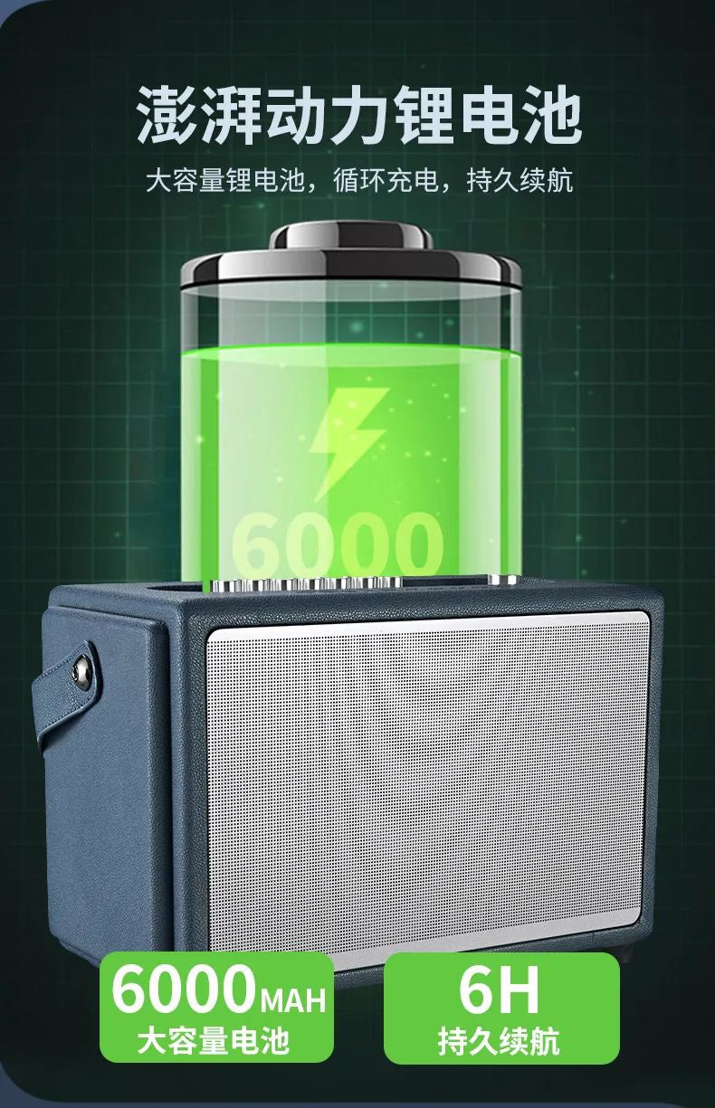 AUL BT Bluetooth Karaoke Speaker