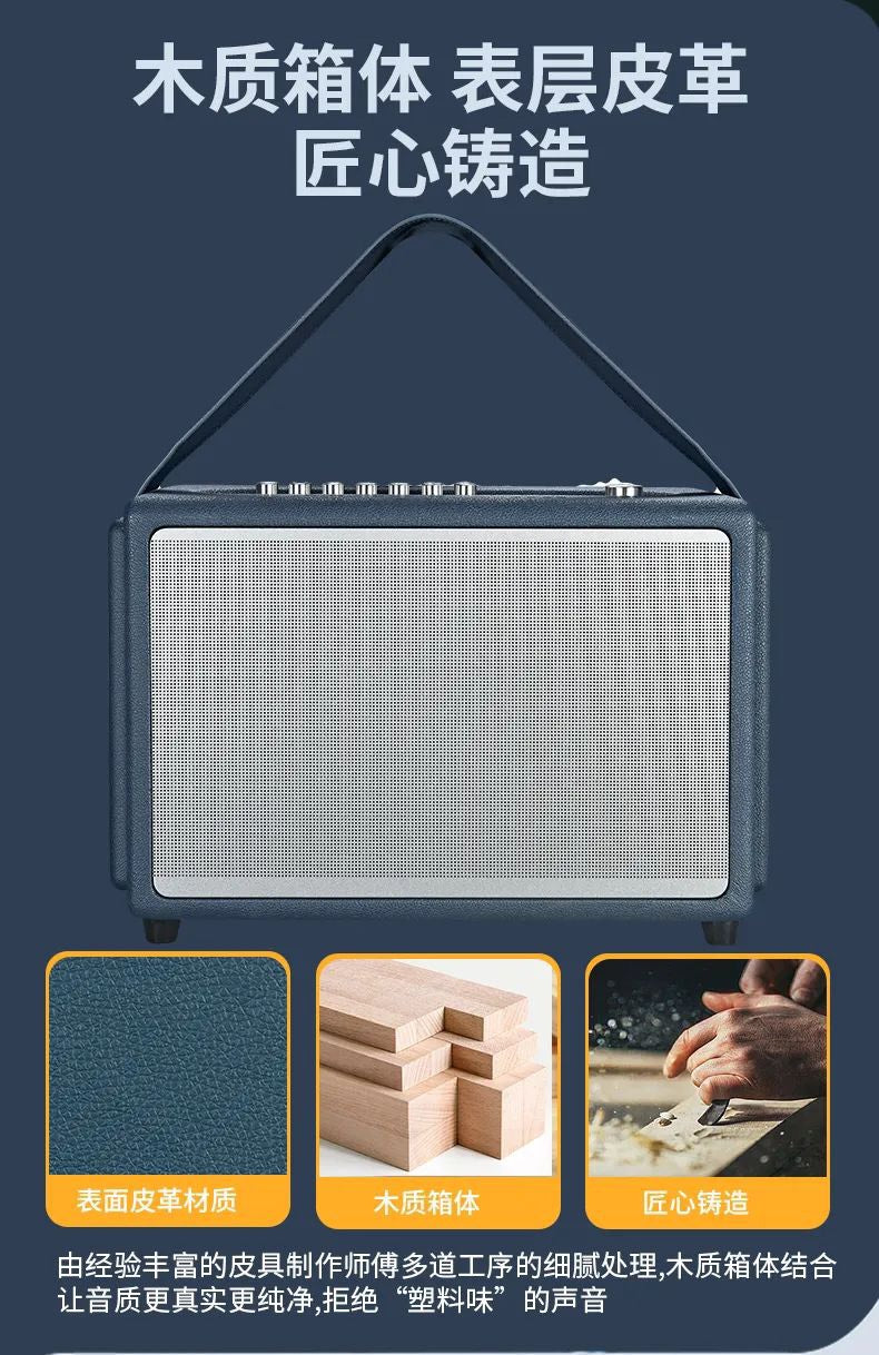 AUL BT Bluetooth Karaoke Speaker