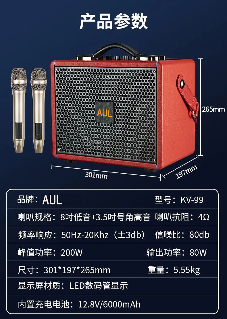 AUL BT Bluetooth Karaoke Speaker