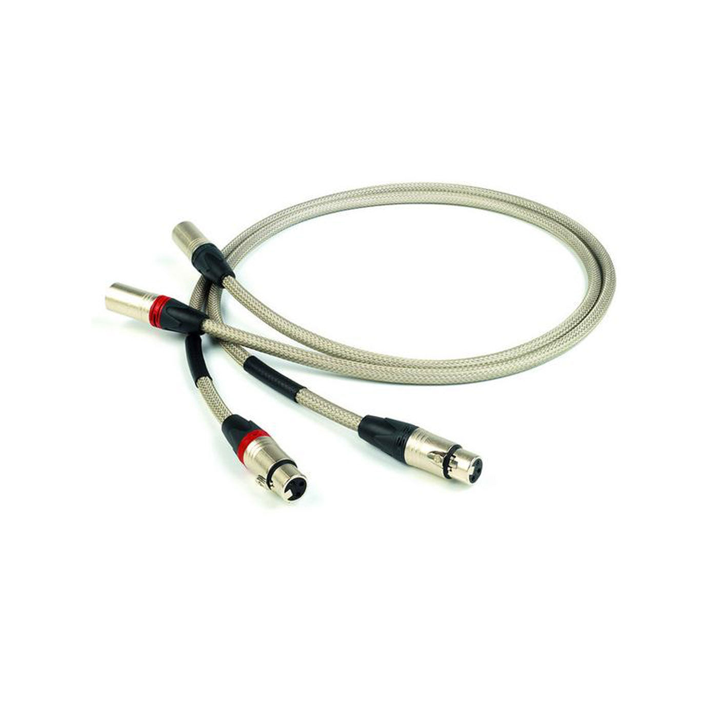 Chord Epic Analogue XLR