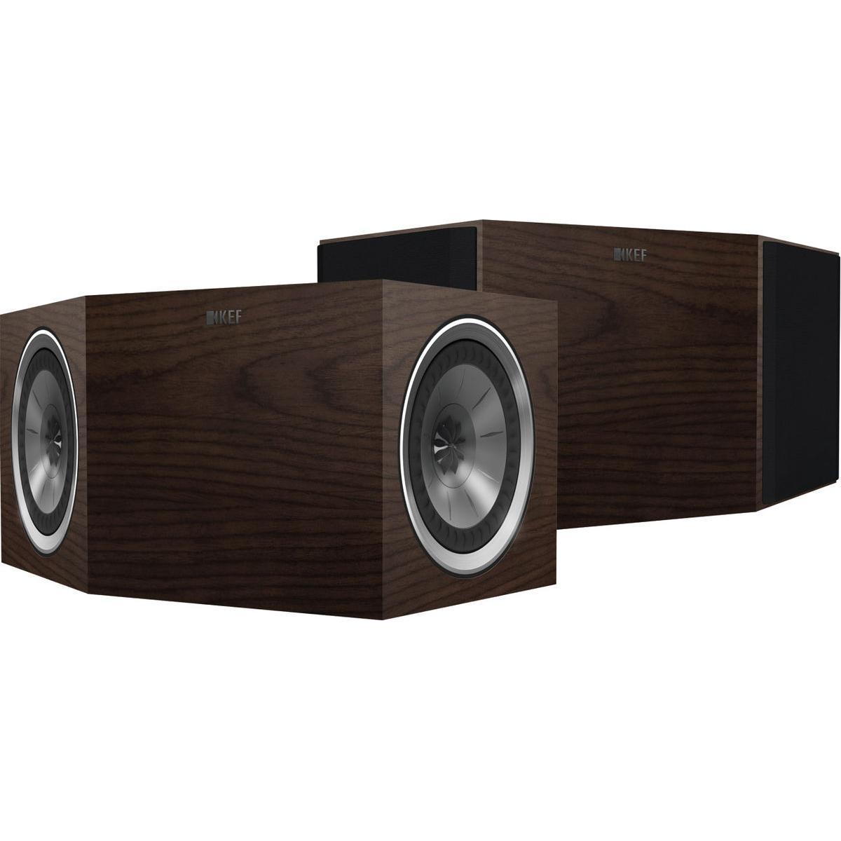 R800ds Dipole Speaker