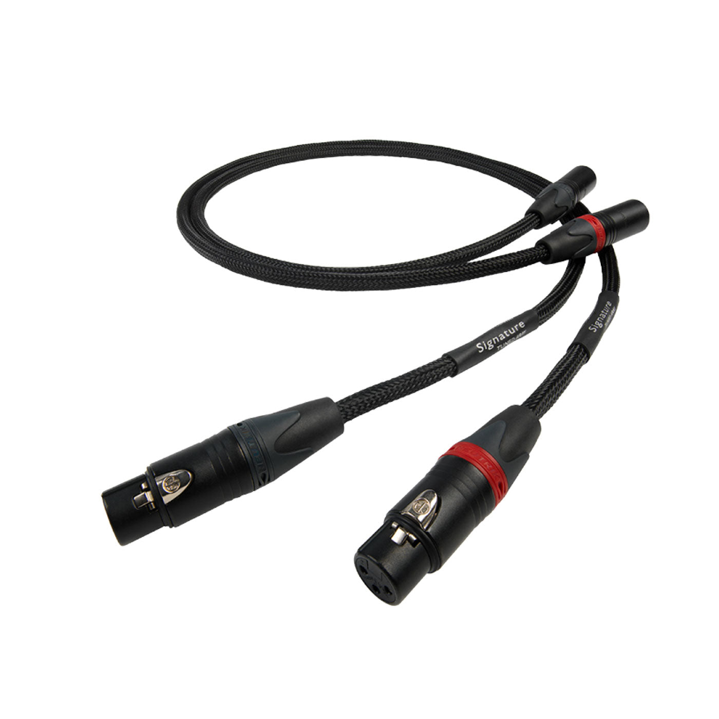 Chord Signature Tuned ARAY XLR