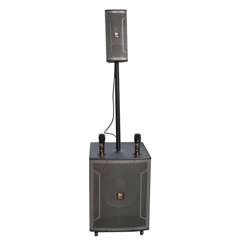 Pro Sing Cot Portable Karaoke System