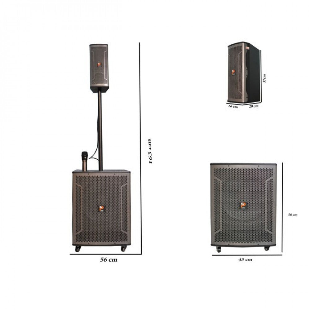 Pro Sing Cot Portable Karaoke System