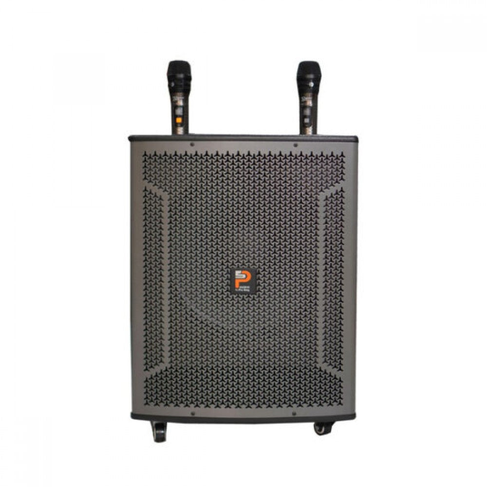 Pro Sing Cot Portable Karaoke System