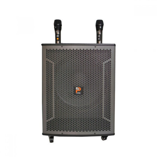 Pro Sing Cot Portable Karaoke System