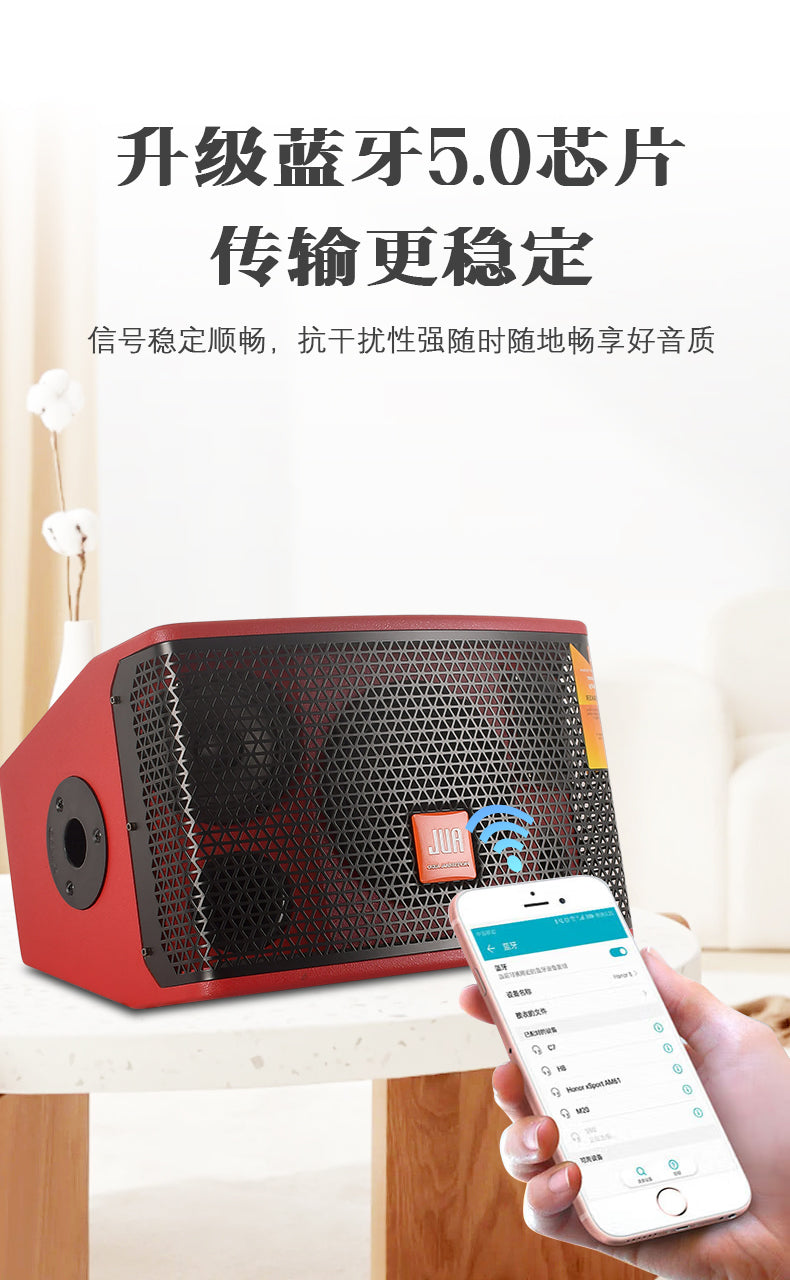 AUL BT 8" Bluetooth Karaoke Speaker