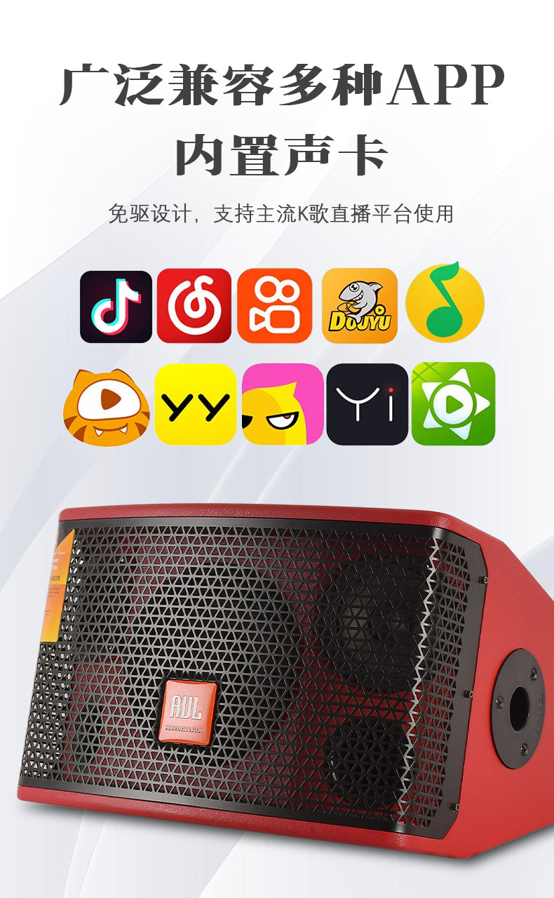 AUL BT 8" Bluetooth Karaoke Speaker