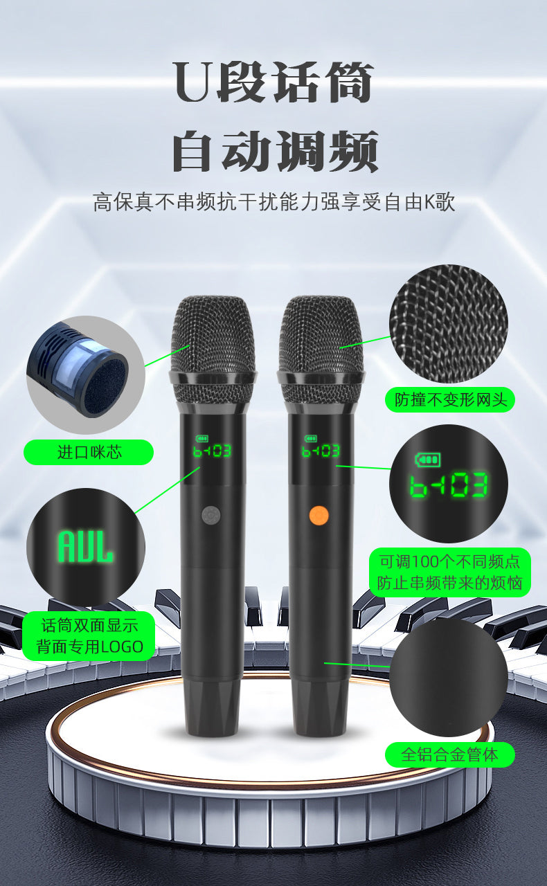 AUL BT 8" Bluetooth Karaoke Speaker